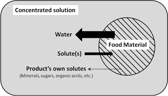 fig-11-3-diagrammatic-presentation-of-osmoticdehydration